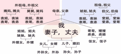 堂兄妹有多少血缘关系